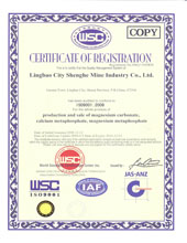 ISO9001（英文）